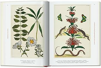 セバ著　Cabinet of Natural Curiosities25th TASCHEN Seba. Cabinet of Natural Curiosities Book – Wynn at Home